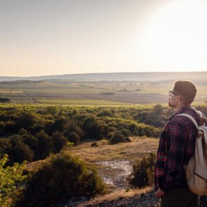 Quisque porta fringilla dolor,nec auctor orci